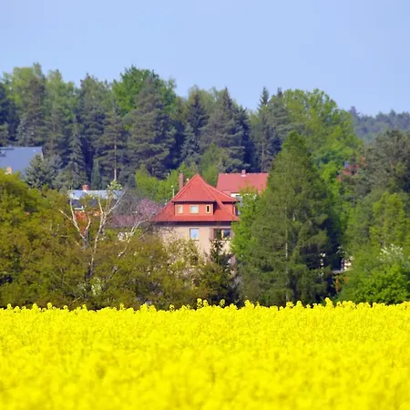 Ferienwohnung Deutschmann Dahlen Habitación foto